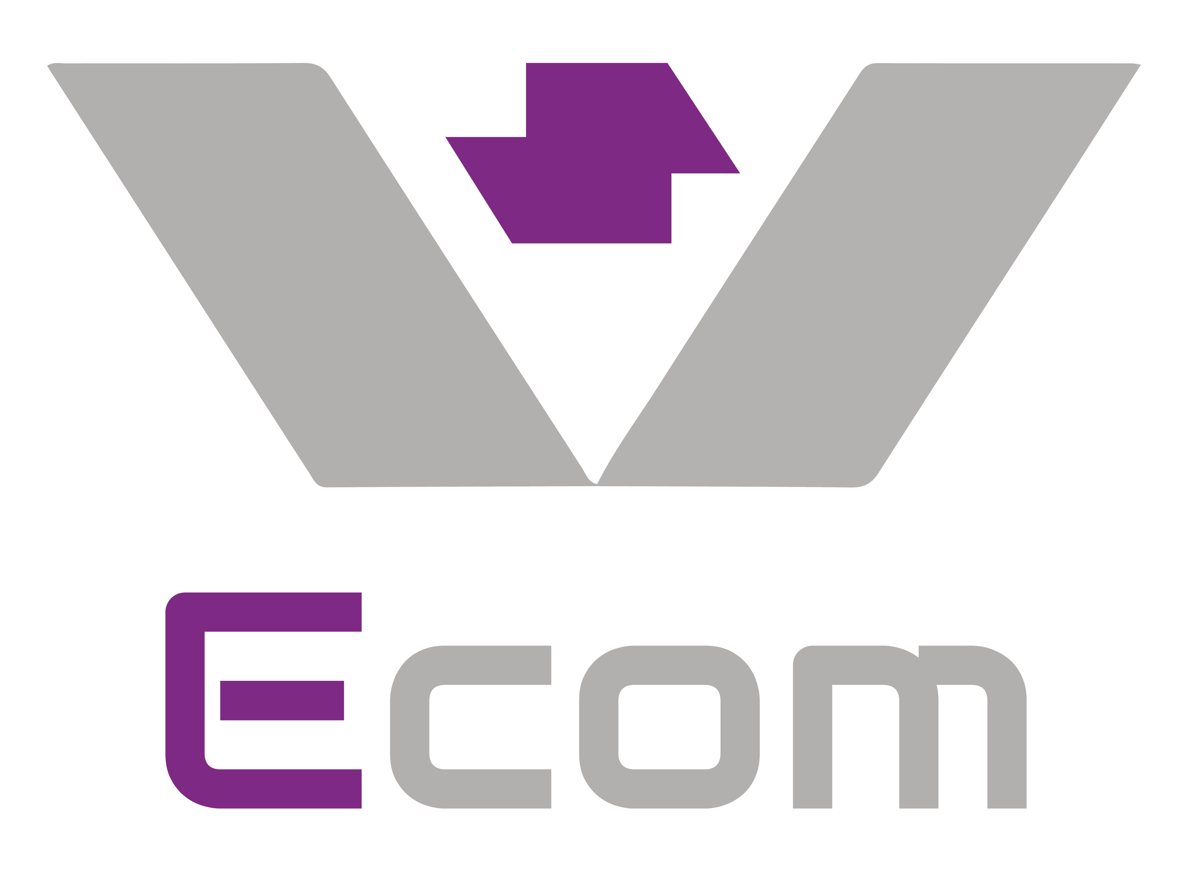 vsEcom - Ecommerce store builder